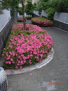 c0147935_21424112.jpg