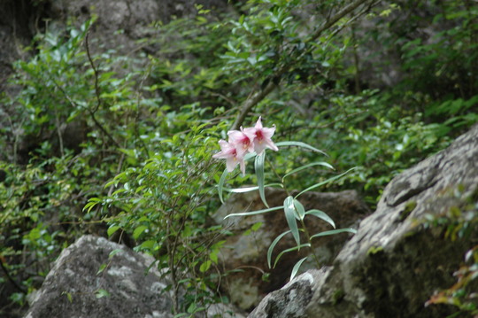 e0272335_20115512.jpg