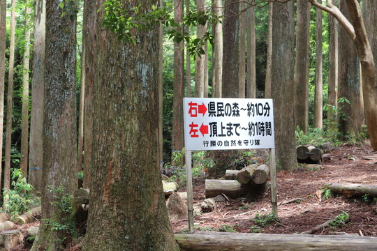 今季お初のササユリは行縢山で！_e0272335_20254199.jpg