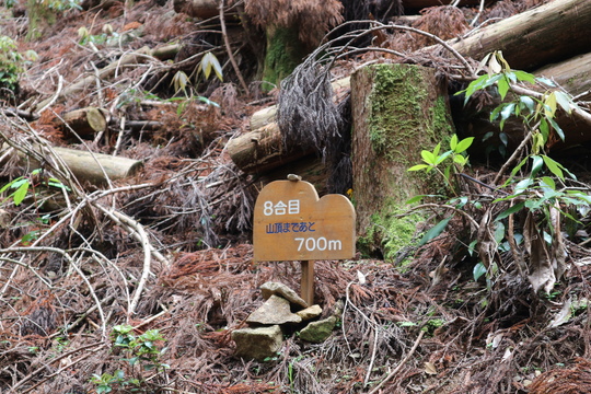 今季お初のササユリは行縢山で！_e0272335_20373155.jpg