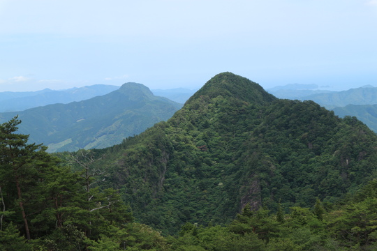 今季お初のササユリは行縢山で！_e0272335_2040347.jpg