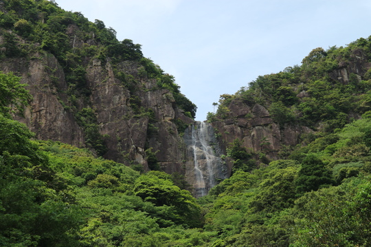 今季お初のササユリは行縢山で！_e0272335_2049196.jpg