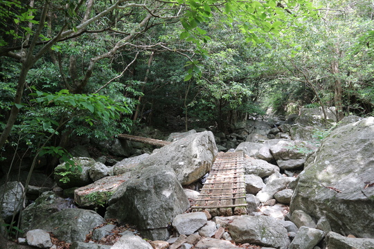 今季お初のササユリは行縢山で！_e0272335_2053993.jpg