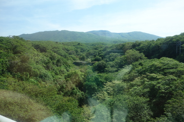 d0370737_15461969.jpeg