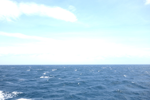 d0370737_16022544.jpeg