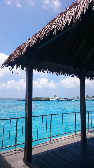 d0344038_21430732.jpg