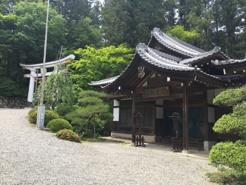 b0330040_02582821.jpeg