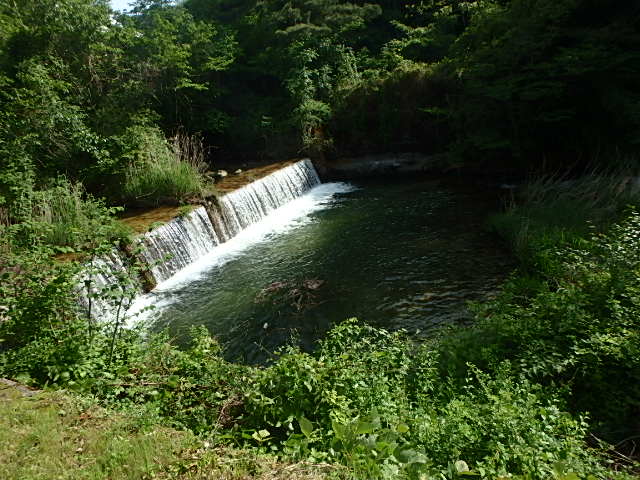 f0334143_813249.jpg