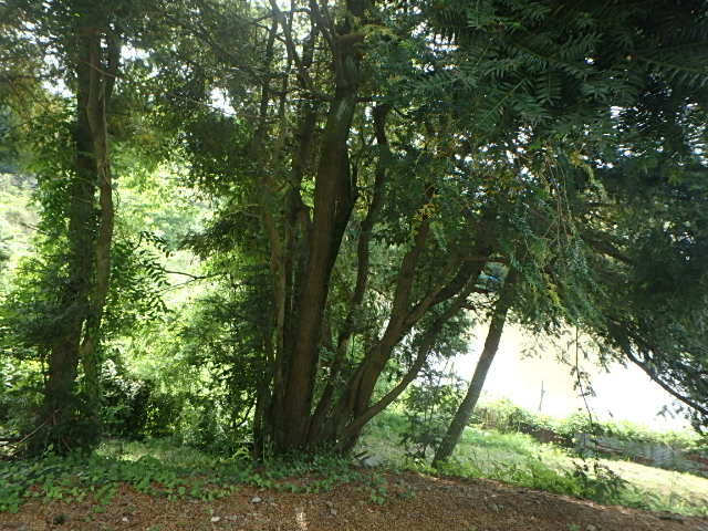 f0334143_8135810.jpg
