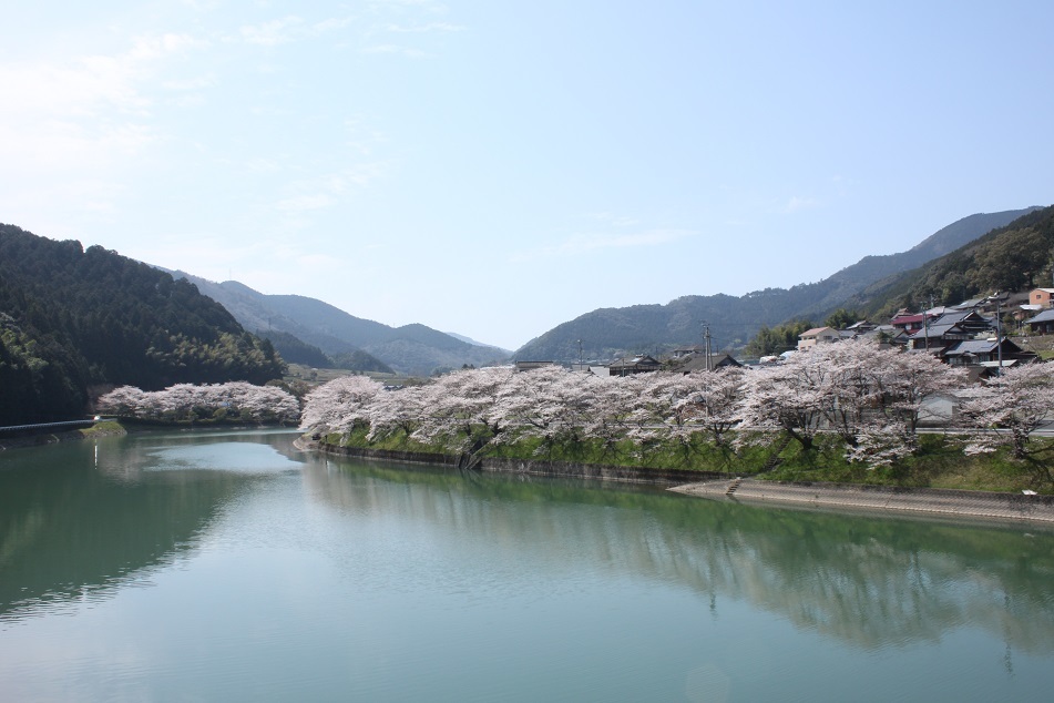 f0351844_07071290.jpg