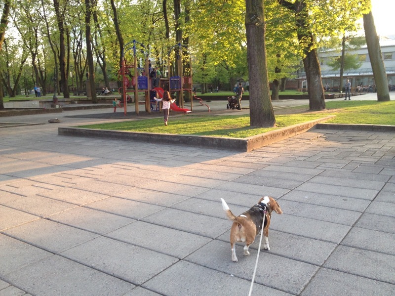 b0069848_05263542.jpeg