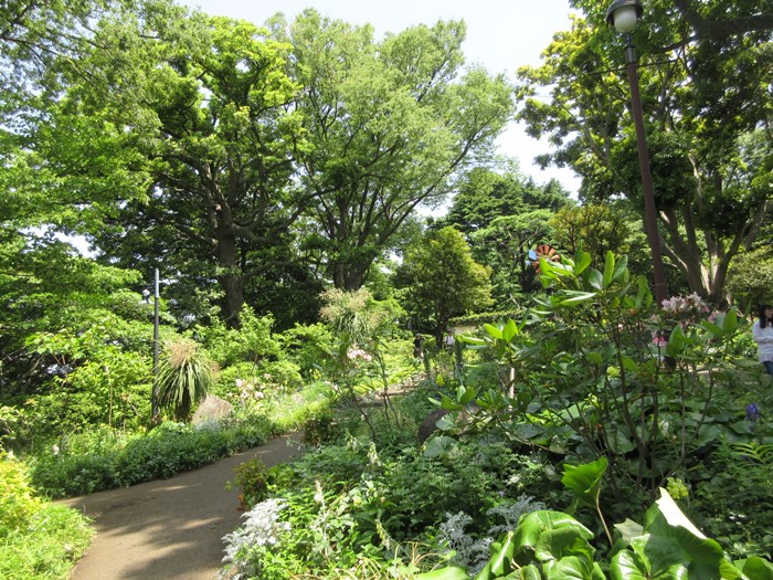 b0009849_22202324.jpg
