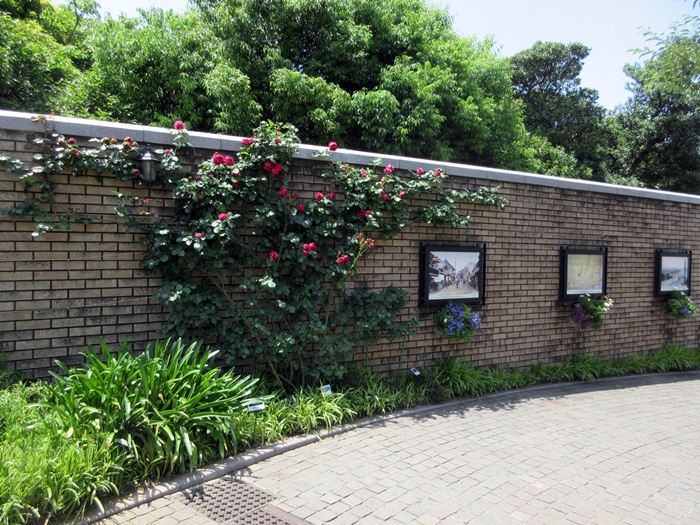 b0009849_8144255.jpg