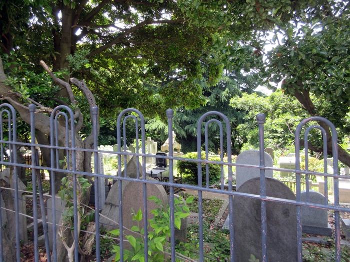 b0009849_816189.jpg