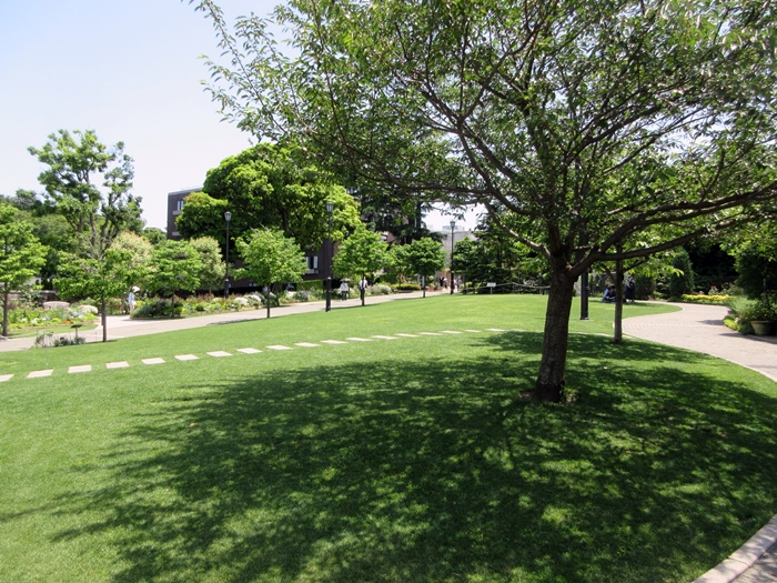 b0009849_83855.jpg
