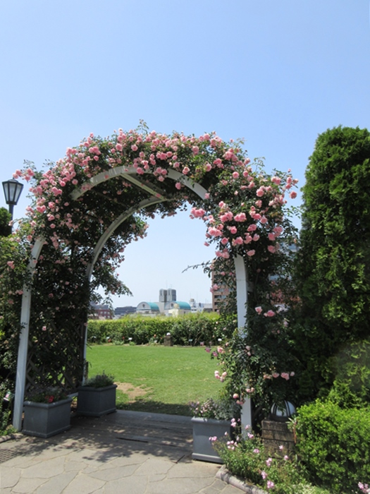 b0009849_865327.jpg