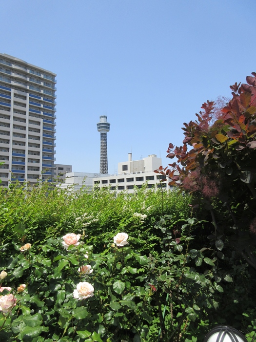 b0009849_89465.jpg