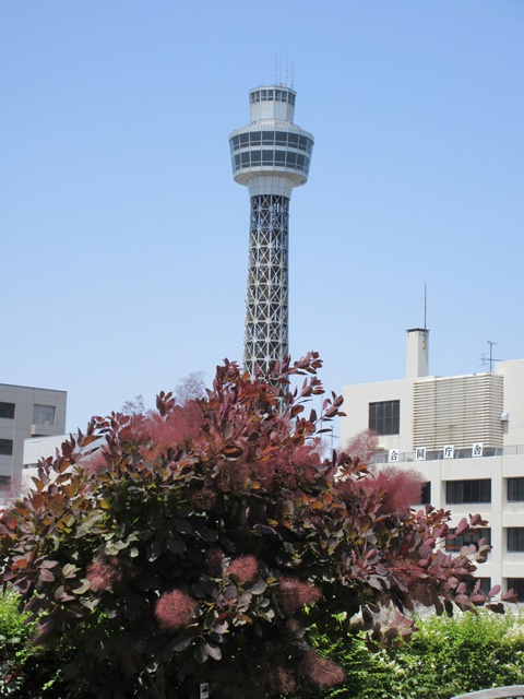 b0009849_895610.jpg