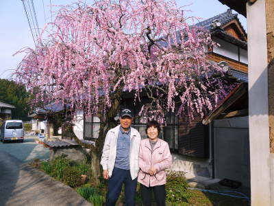 種なしかぼす 今年も良い花が咲きました!蕾、花、着果の様子を現地取材!_a0254656_17264715.jpg