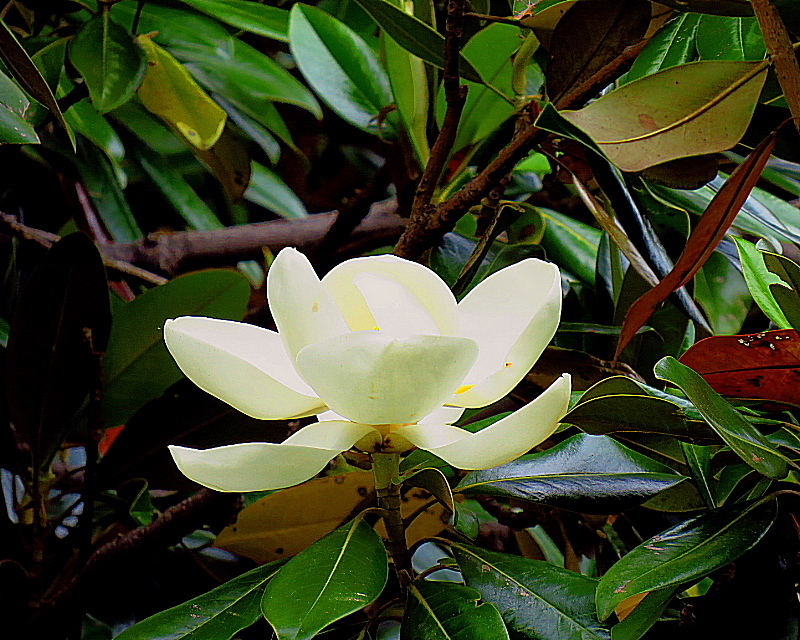 c0305565_18183914.jpg