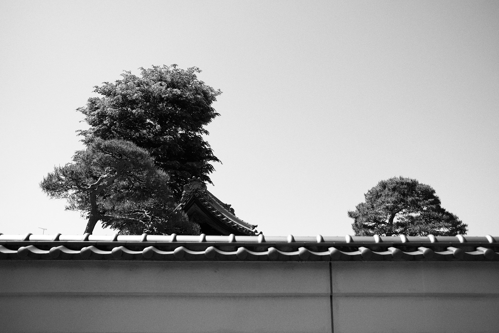f0121181_01185791.jpg