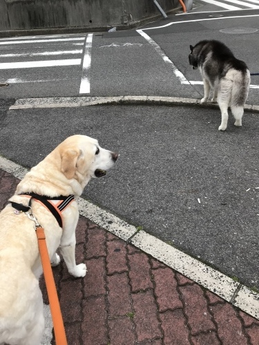 f0315081_00001684.jpeg