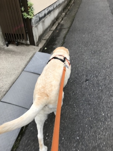 f0315081_22161651.jpeg