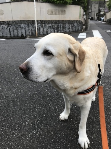 f0315081_22175958.jpeg
