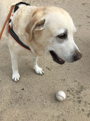 f0315081_22241831.jpeg