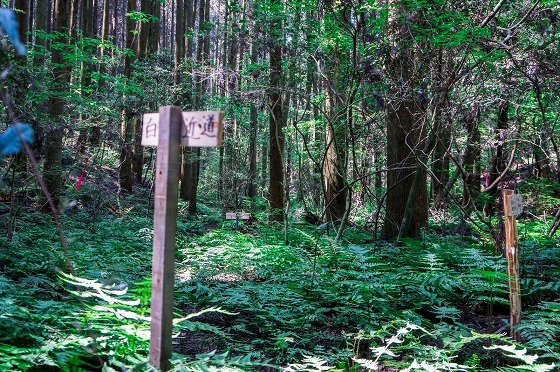 e0176993_07204613.jpg