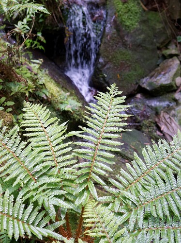 e0176993_07204661.jpg