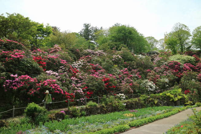 f0075595_22182238.jpg