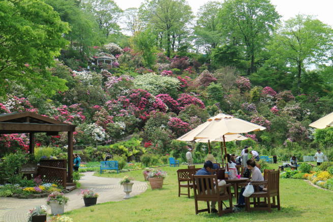f0075595_22183974.jpg
