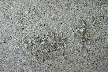 e0354596_05443620.jpg