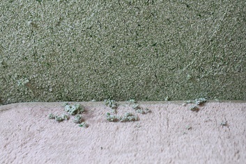 e0354596_05444449.jpg