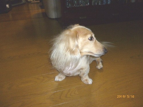f0178701_1011451.jpg