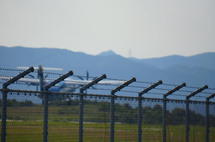 c0368903_17051252.jpg