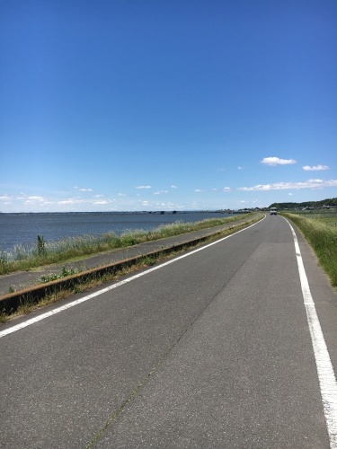 e0141203_12364631.jpeg