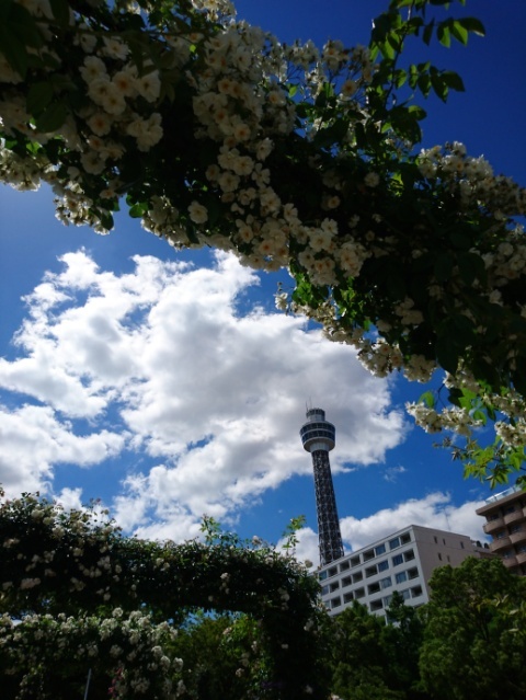 b0365305_11471125.jpg