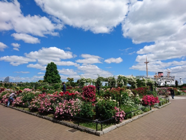 b0365305_11501000.jpg