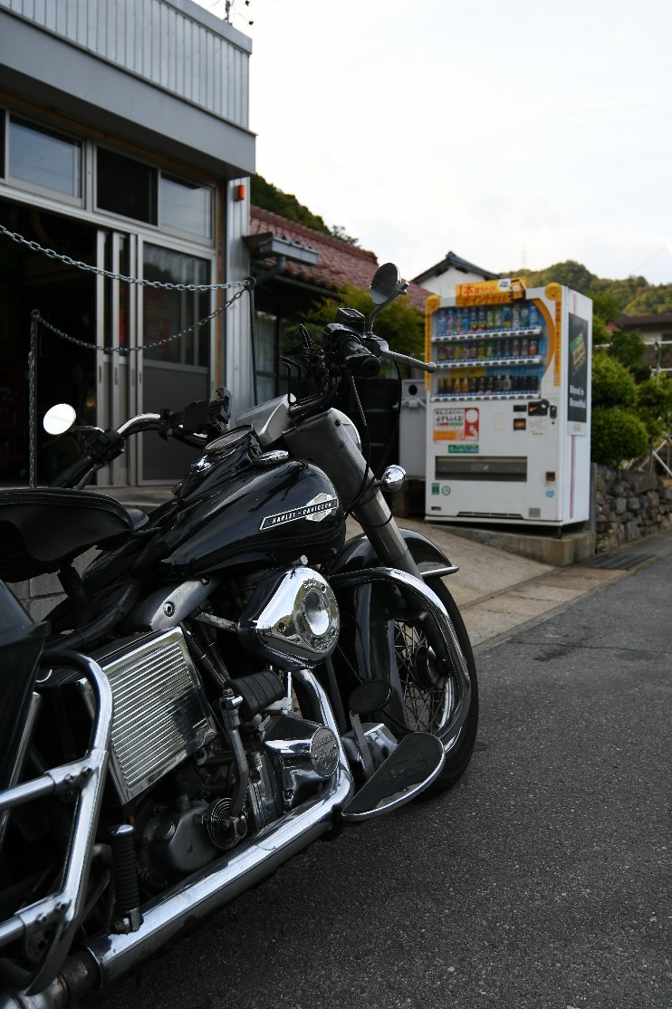 なんか一日中賑やかだ..._a0159215_23151301.jpg