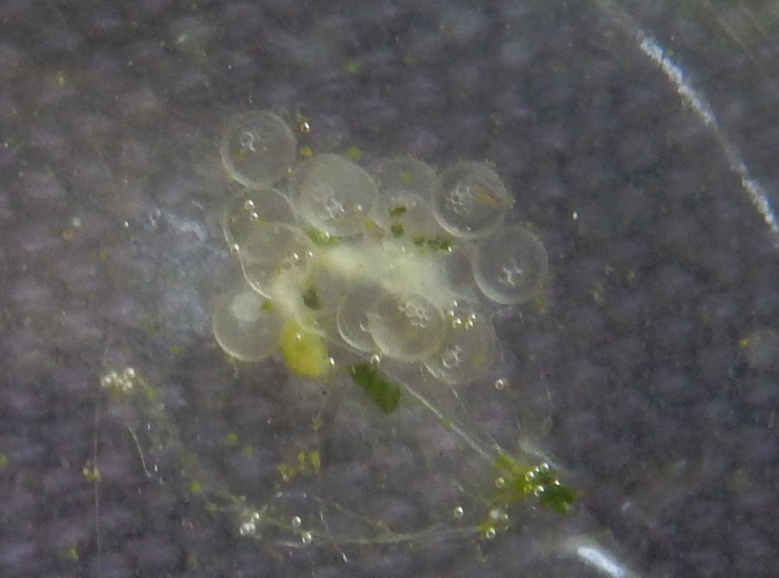 気温はちょっと春に戻り_c0025115_20511451.jpg