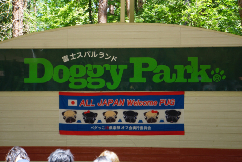 f0128821_21422070.jpg