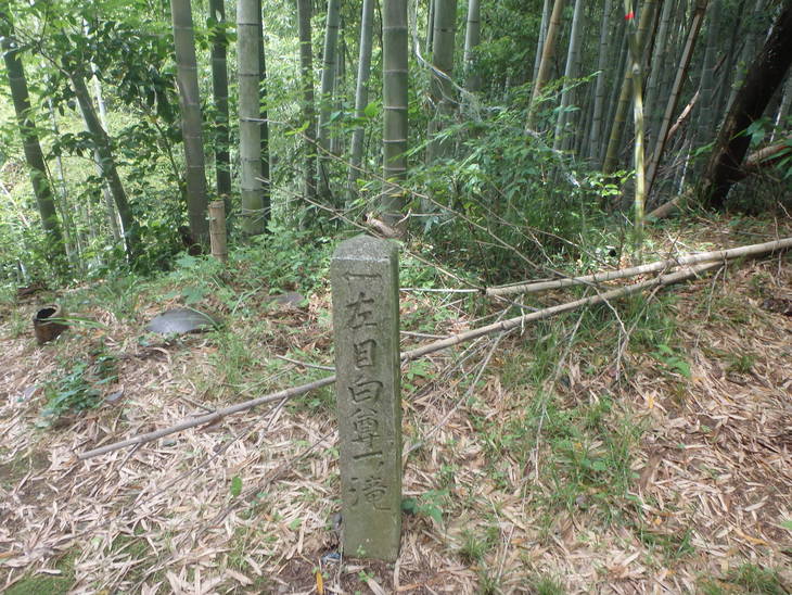 f0193521_805788.jpg