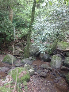 f0193521_811043.jpg