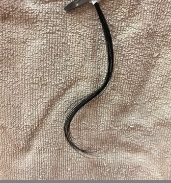 c0109726_10273848.jpeg