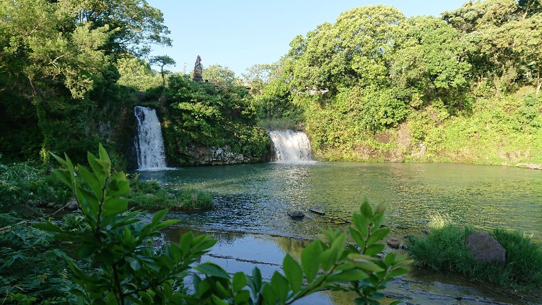 b0098228_07391744.jpg