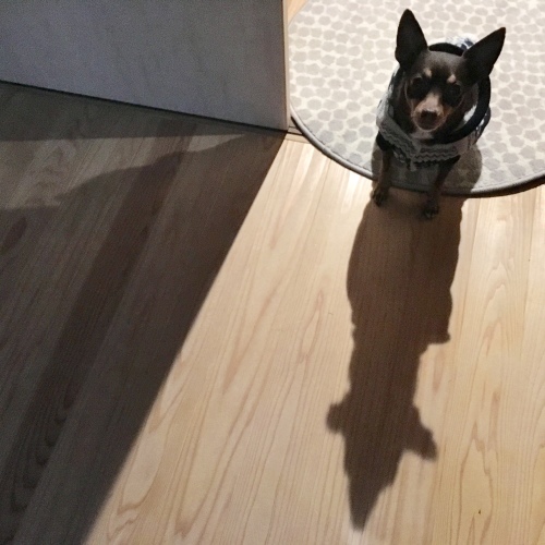 a0291132_11491922.jpeg