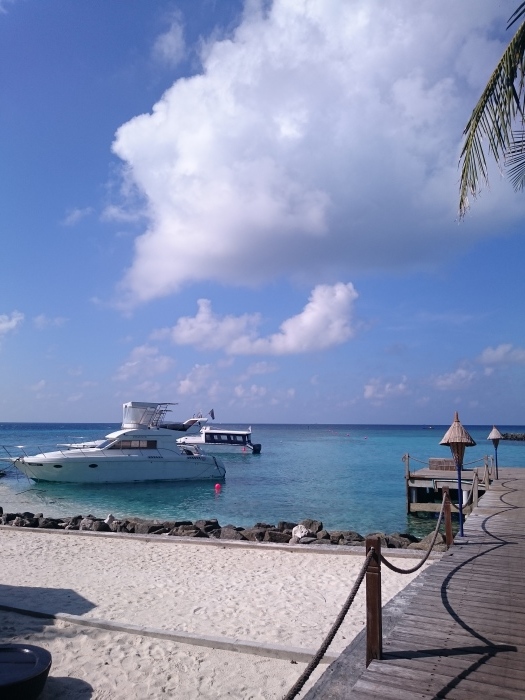 d0344038_20400950.jpg