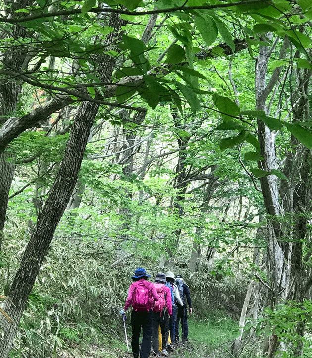 e0371039_21275291.gif